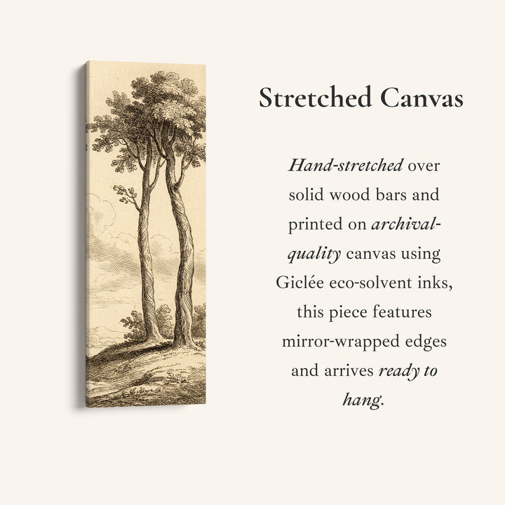 Long Wall Art Vintage Tree Illustration Canvas Print Hallway