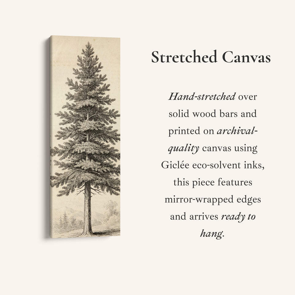 Vintage Pine Tree Long Wall Art Engraving Print Hallway
