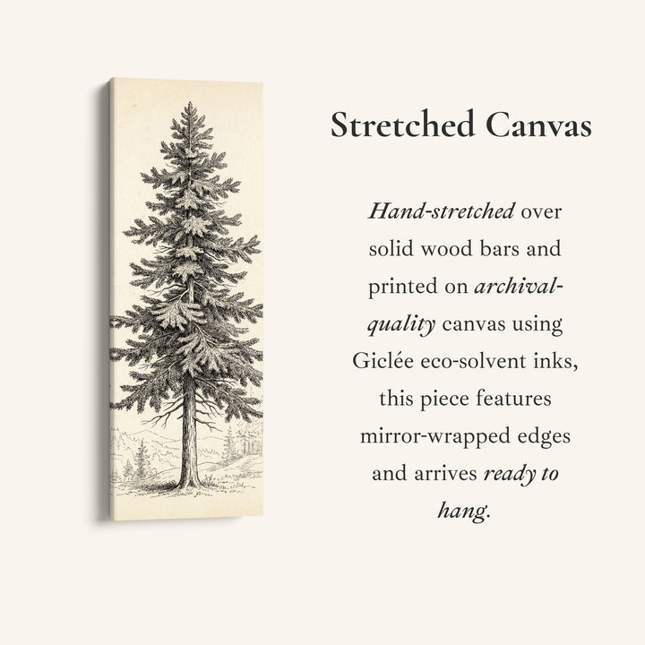 Vintage Pine Illustration Vertical Wall Art Wide Canvas Office