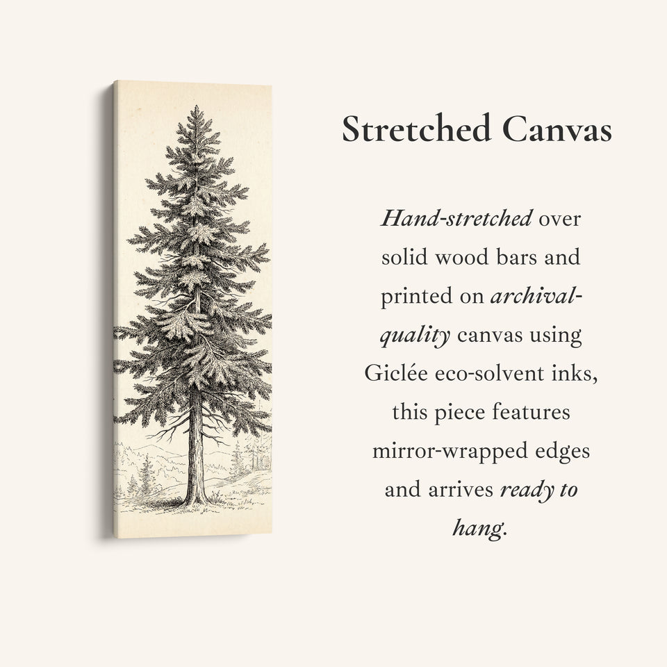 Vintage Pine Illustration Vertical Wall Art Wide Canvas Office