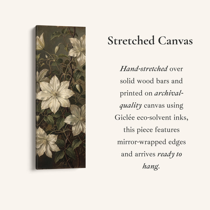 White Clematis on Dark Vertical Wall Art Vintage Botanical for Living Room, full artwork view of this tall vertical canvas