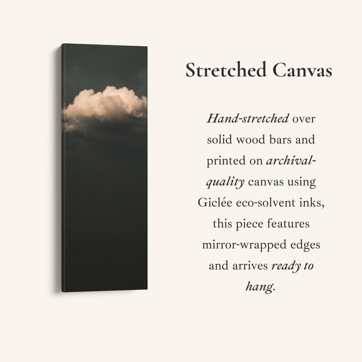 Tall Wall Art Single Cloud on Charcoal Minimalist for Office, full artwork view of this tall vertical canvas