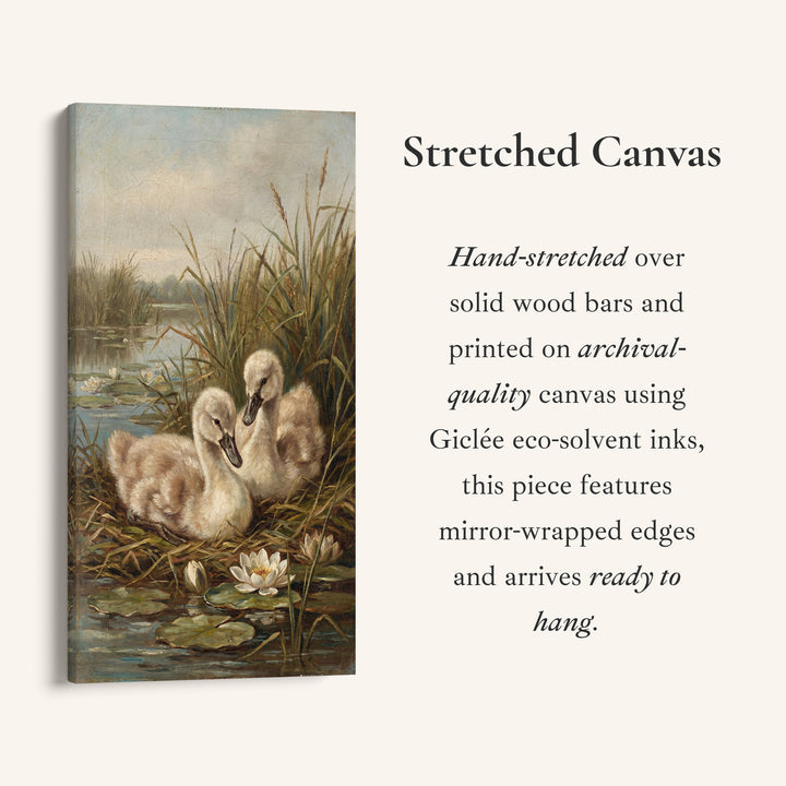 Swan Cygnets Pond Tall Narrow Canvas Vertical Canvas For Bedroom