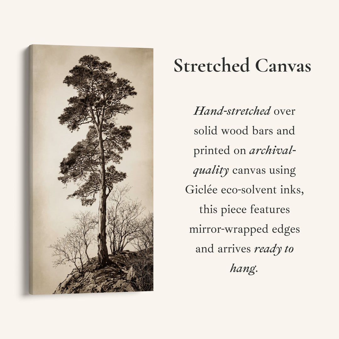 Vertical Wall Art Lone Tree On Rocky Hill Tall Canvas For Living Room