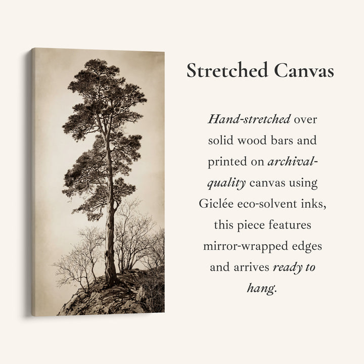 Vertical Wall Art Lone Tree On Rocky Hill Tall Canvas For Living Room