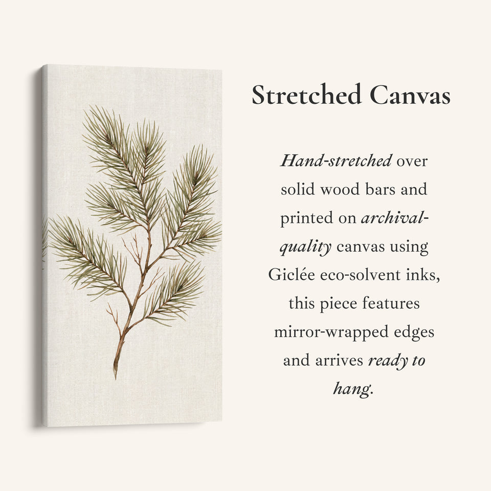 Tall Framed Canvas Pine Branch Botanical Portrait Wall Art For Office